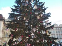 Stromeček Staroměstské Náměstí 1 | SOS a SOU KH