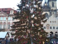 Stromeček Staroměstské Náměstí 2 | SOS a SOU KH