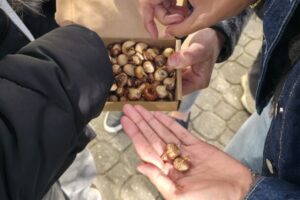 Třída 2.V se opět zapojila do projektu Krokus