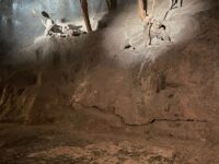 Img 20251127 Wa0031 | SOS a SOU KH