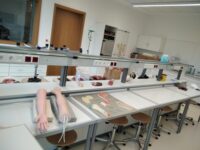 Img 20251027 122028 | SOS a SOU KH