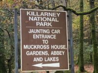 Img 7125 | SOS a SOU KH