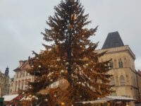 20251217 151007 | SOS a SOU KH