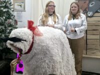 20251219 100008 | SOS a SOU KH