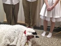 20251219 100210 | SOS a SOU KH