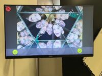 598cd641 71ee 4344 Bedb 44d730d516ca | SOS a SOU KH