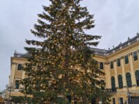 Img 20251207 Wa0005 | SOS a SOU KH