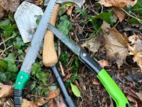 Img 20260128 Wa0011 | SOS a SOU KH