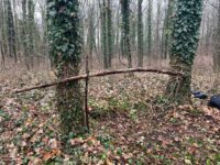 Img 20260128 Wa0012 | SOS a SOU KH