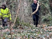 Img 20260128 Wa0020 | SOS a SOU KH