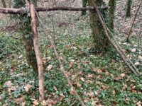 Img 20260128 Wa0032 | SOS a SOU KH