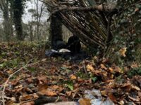 Img 20260128 Wa0042 | SOS a SOU KH