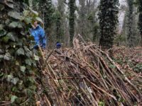 Img 20260128 Wa0045 | SOS a SOU KH