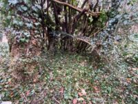 Img 20260128 Wa0048 | SOS a SOU KH