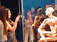 20260209 104518 | SOS a SOU KH