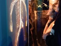 20260209 104922 | SOS a SOU KH