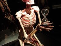 20260209 114601 | SOS a SOU KH