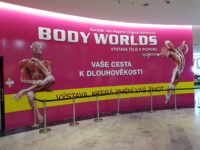 20260209 120536 | SOS a SOU KH