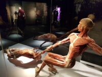 20260209 124651 | SOS a SOU KH