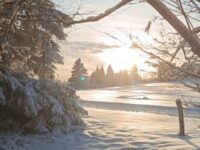 Img 20260219 Wa0023 | SOS a SOU KH