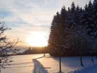 Img 20260219 Wa0029 | SOS a SOU KH