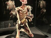 Img 0638 | SOS a SOU KH