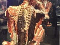 Img 0639 | SOS a SOU KH