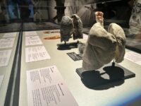 Img 0643 | SOS a SOU KH