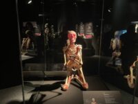 Img 3281 | SOS a SOU KH