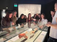 Img 3283 | SOS a SOU KH