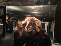 Img 3296 | SOS a SOU KH