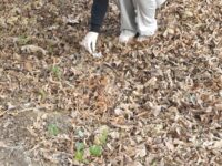 20260413 081411a | SOS a SOU KH